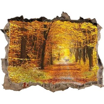 Fototapeta Nálepka fototapeta 3D výhled Podzim les