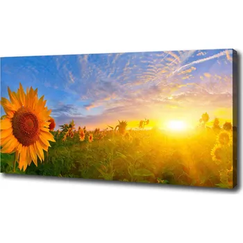 Obraz Foto obraz na plátně Pole slunečníků