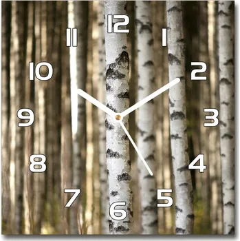 Hodiny Skleněné nástěnné hodiny čtverec Břízy