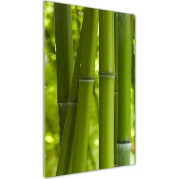 Obraz Vertikální Foto obraz sklo tvrzené Bambusový les