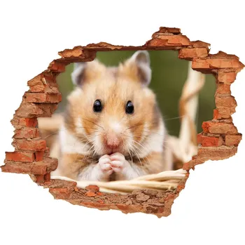 Fototapeta Fotoobraz díra na stěnu nálepka Křeček v košíku