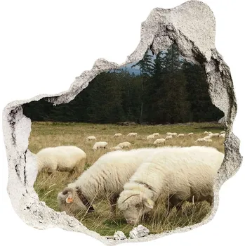 Fototapeta Díra 3D fototapeta nálepka Pasící se ovce