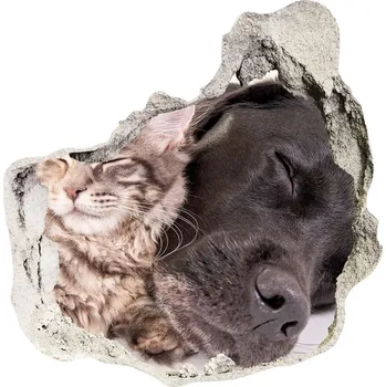 Fototapeta Díra 3D foto tapeta nálepka Pes s kočkou