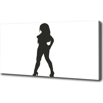 Obraz Foto obraz na plátně Postava ženy