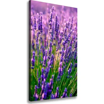 Obraz Vertikální Foto obraz canvas Pole levandule
