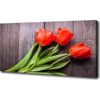 Obraz Foto obraz na plátně Červené tulipány