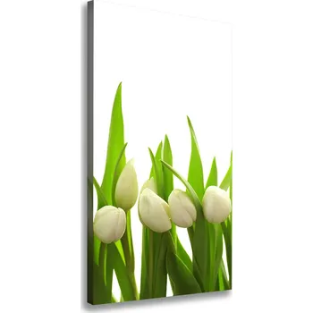 Obraz Foto-obraz canvas do obýváku Bílé tulipány