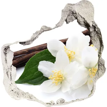 Fototapeta Samolepící díra na stěnu Jasmín a vanilka