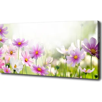 Obraz Foto obraz canvas Květiny na louce