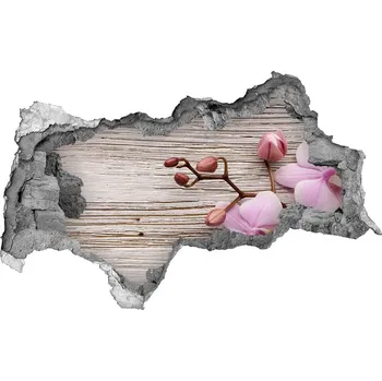 Fototapeta Samolepící díra na stěnu Orchidej na stromě