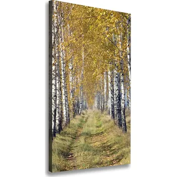 Obraz Vertikální Foto obraz canvas Břízový les