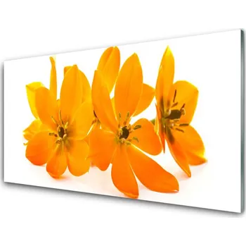 Obraz Obraz na skle Oranžové Květiny 140x70 cm 2 Přívěsky