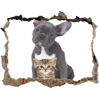 Fototapeta Díra 3D fototapeta na stěnu Pes a kočka