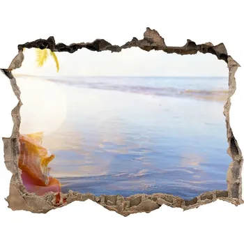 Fototapeta Nálepka fototapeta 3D výhled Mušle na pláži
