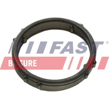 Těsnění motoru Těsnění, vodní čerpadlo FAST FT57406