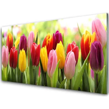 Obraz Obraz na skle Tulipány Květiny Příroda 120x60 cm 4 Přívěsky