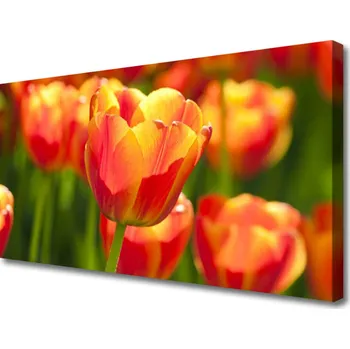 Obraz Obraz na plátně Tulipány Květiny Rostlina 100x50 cm