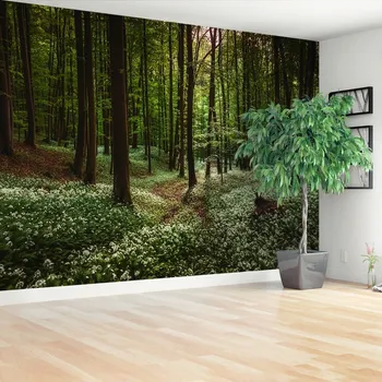 Fototapeta Fototapeta Jarní les 104x70