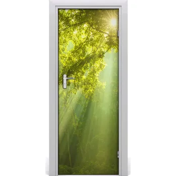 Fototapeta Fototapeta na dveře slunce v lese 75x205 cm