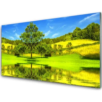 Obraz Obraz na skle Louka Strom Příroda 100x50 cm 2 Přívěsky