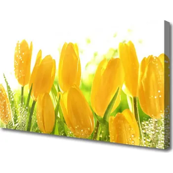 Obraz Obraz na plátně Tulipány Květiny Rostlina 100x50 cm