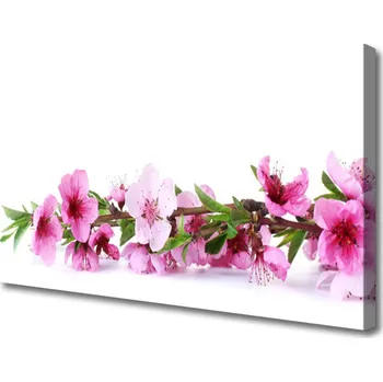 Obraz Obraz na plátně Květiny Rostlina Příroda 120x60 cm