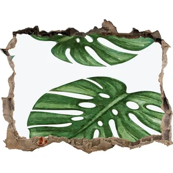 Fototapeta Nálepka 3D díra na zeď beton Monstera