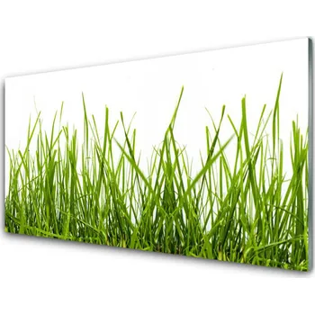 Obraz Obraz na skle Tráva Příroda Rostlina 100x50 cm 2 Přívěsky