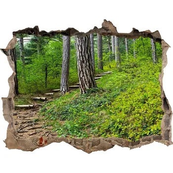 Fototapeta Díra 3D ve zdi nálepka Lesní stezka