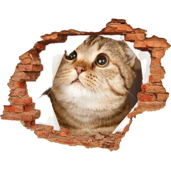Fototapeta Díra 3D fototapeta na stěnu nálepka Kočka