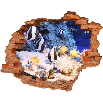 Fototapeta Díra 3D fototapeta nálepka Korálový útes