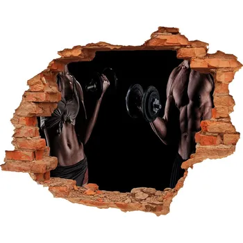 Fototapeta Samolepící díra na stěnu Svaly