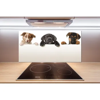 Obklad Panel do kuchyně Tři štěňátka