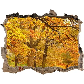 Fototapeta Díra 3D ve zdi nálepka Podzim v parku