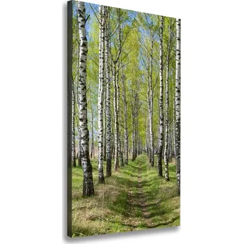 Obraz Vertikální Foto obraz canvas Břízový les