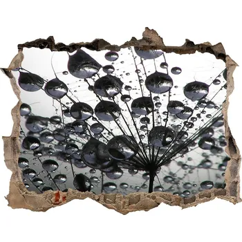 Fototapeta Samolepící díra nálepka Semena pampelišky