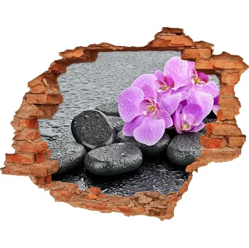 Fototapeta Samolepící díra na stěnu Orchidej kamení