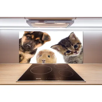 Panel do kuchyně Domácí zvířata