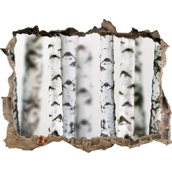 Fototapeta Fototapeta nálepka na zeď Kemny bříz