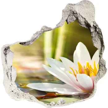 Fototapeta Samolepící díra nálepka Vodní lilie