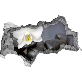 Fototapeta Samolepící nálepka fototapeta Orchidej