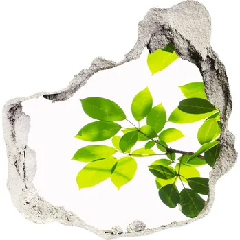 Fototapeta Samolepící nálepka fototapeta Listí