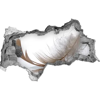 Fototapeta Díra 3D fototapeta na stěnu Pírko na vodě