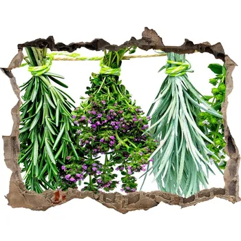 Fototapeta Nálepka 3D díra na zeď Bylinky na provázku