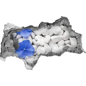 Fototapeta Samolepící díra nálepka Hortenzie