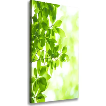 Obraz Vertikální Foto obraz na plátně Zelené listí
