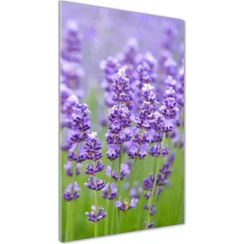 Obraz Vertikální Foto obraz sklo tvrzené Pole levandule