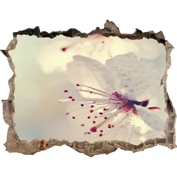 Fototapeta Samolepící nálepka na zeď Květ višně