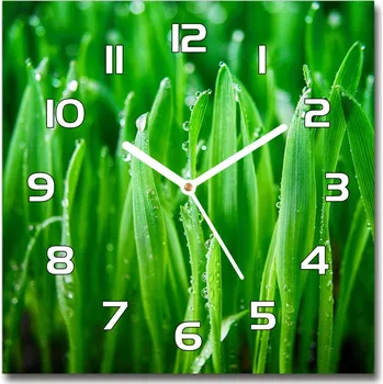 Hodiny Skleněné nástěnné hodiny čtverec Tráva