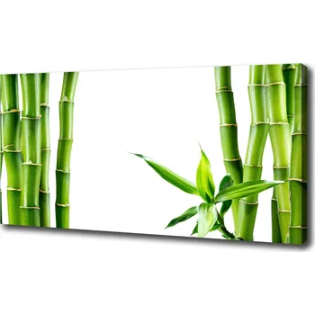 Obraz Foto obraz canvas Bambus